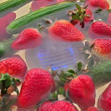 Portable Fruit and Vegetable Sterilizer